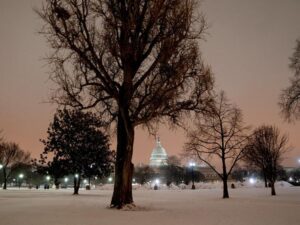 Flash – USA, emergenza meteo: neve e raffiche di vento nel Nord Est