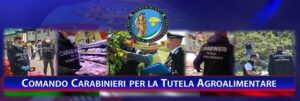 Carabinieri e tutela agroalimentare, 6 denunce per truffa all’UE