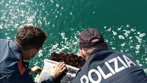 Cassino: sequestrati 2500 ricci di mare