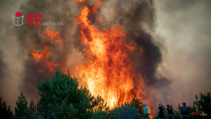 Flash – California: devastanti incendi. Migliaia le persone evacuate