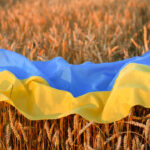 indipendenza - grano ucraina (pixabay)