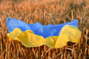 Grano Ucraina: nuovo accordo per il transito nel Mar Nero