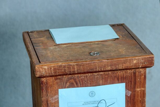 ballot-box-4933481_960_720 Pixabay