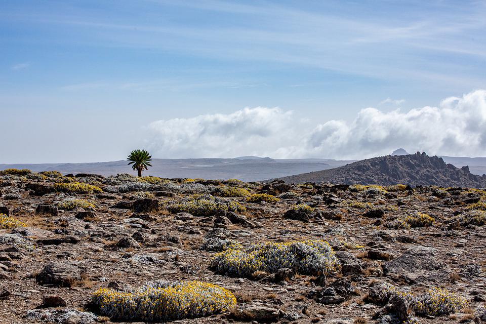 etiopia pixabay
