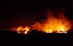 Flash – Francia: vasto incendio al sud. Abitazioni distrutte