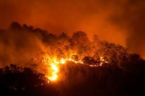 Grecia, incendi: le aree bruciate supereranno i 150mila ettari