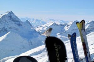 Lutto nello sci: morta a 37 anni Elena Fanchini