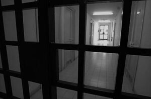 Usa, orrore in Georgia: afroamericano muore in cella divorato dalle cimici