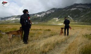Carabinieri Forestali scoprono carcasse di fauna selvatica