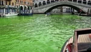 Venezia, una chiazza verde colora la laguna. Di che si tratta