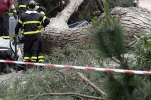Varese: albero colpisce otto persone