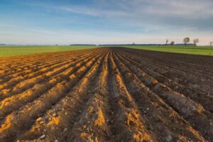 Agricoltura, cambiamenti climatici e uso del suolo: da Fondazione Cariplo nuovo bando