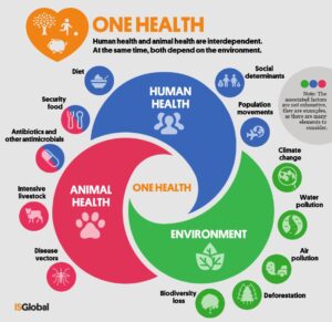 Un cartoon racconta ai giovani approccio “One Health”