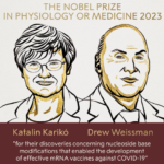 Il Nobel per la Medicina 2023 è stato assegnato Karikó e Weissman