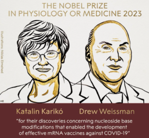 Il Nobel per la Medicina 2023 è stato assegnato Katalin Karikó e Drew Weissman