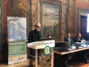 Sostenibilità, Parco Italia: 70mila alberi piantati entro la fine del 2024 con supporto di Amazon
