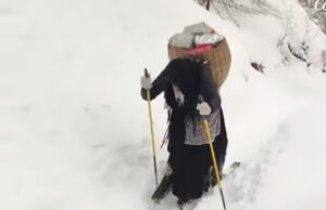 La Befana porterà doni, ma anche freddo e gelo