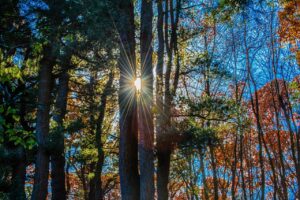 Addio maltempo, arriva l’ottobrata autunnale